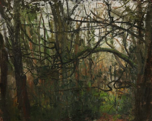 ​BRUMOUS | Aidan Crotty | 12 January – 16 February