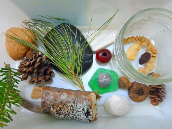 Sink-or-Float-activity-with-natural-and-found-objects.jpg#asset:13578
