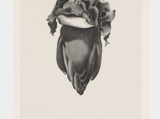Georgia O Keeffe Banana Flower 1933 From Some Memories Of Drawings 1974 © Georgia O Keeffe Museum Dacs London 2021  Photo  Anna Arca