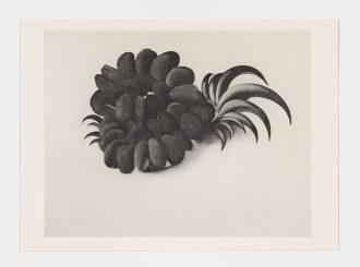 Georgia O Keeffe Eagle Claw And Bean Necklace 1934 From Some Memories Of Drawings 1974 © Georgia O Keeffe Museum Dacs London 2021  Photo  Anna Arca