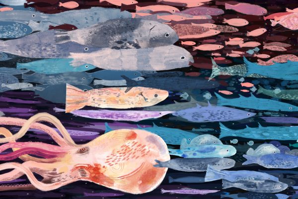 The Sea we Share | Czacarri Muli, EM Emerson & Corinna Askin | 4 July - 29 August