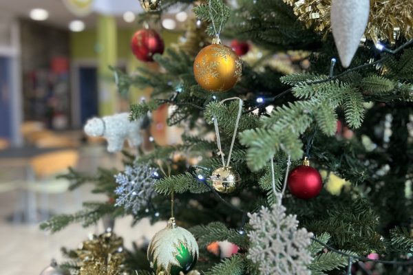 CHRISTMAS CRAFT MARKET LAUNCH