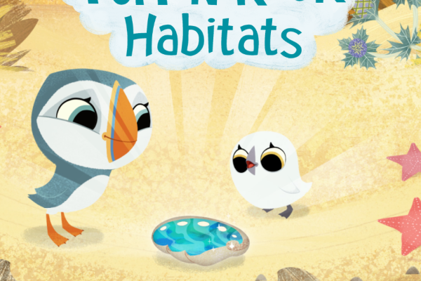 ​PUFFIN ROCK HABITATS