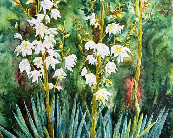 Limavady Art Group