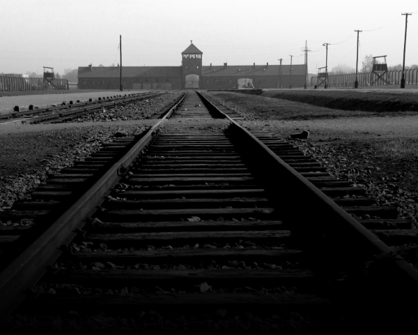 The Holocaust Memorial Day 2026 | 26 Jan - 21 Mar