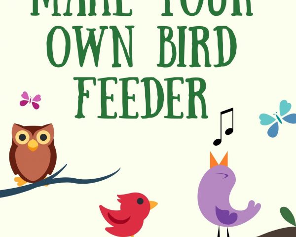 Day 7 - Make your own Bird Feeder