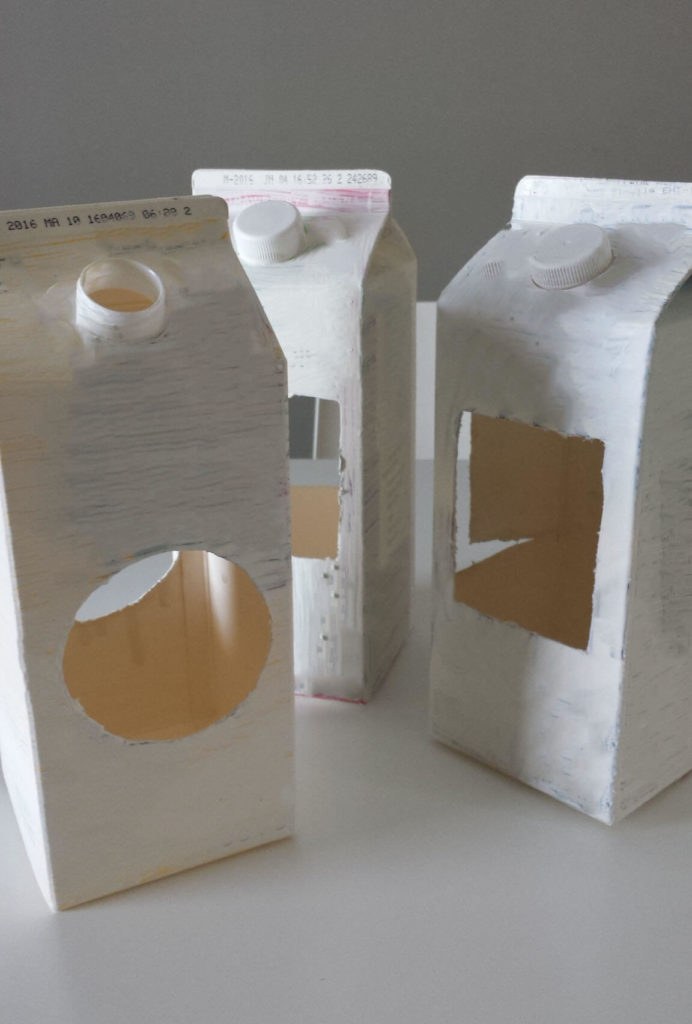 milk-juice-carton-bird-feeder-primed.jpg#asset:13144